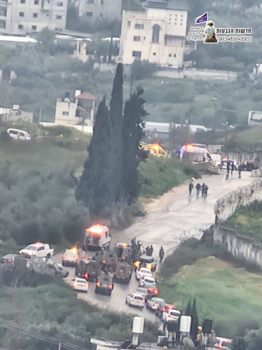 מרדכי דוד tweet media