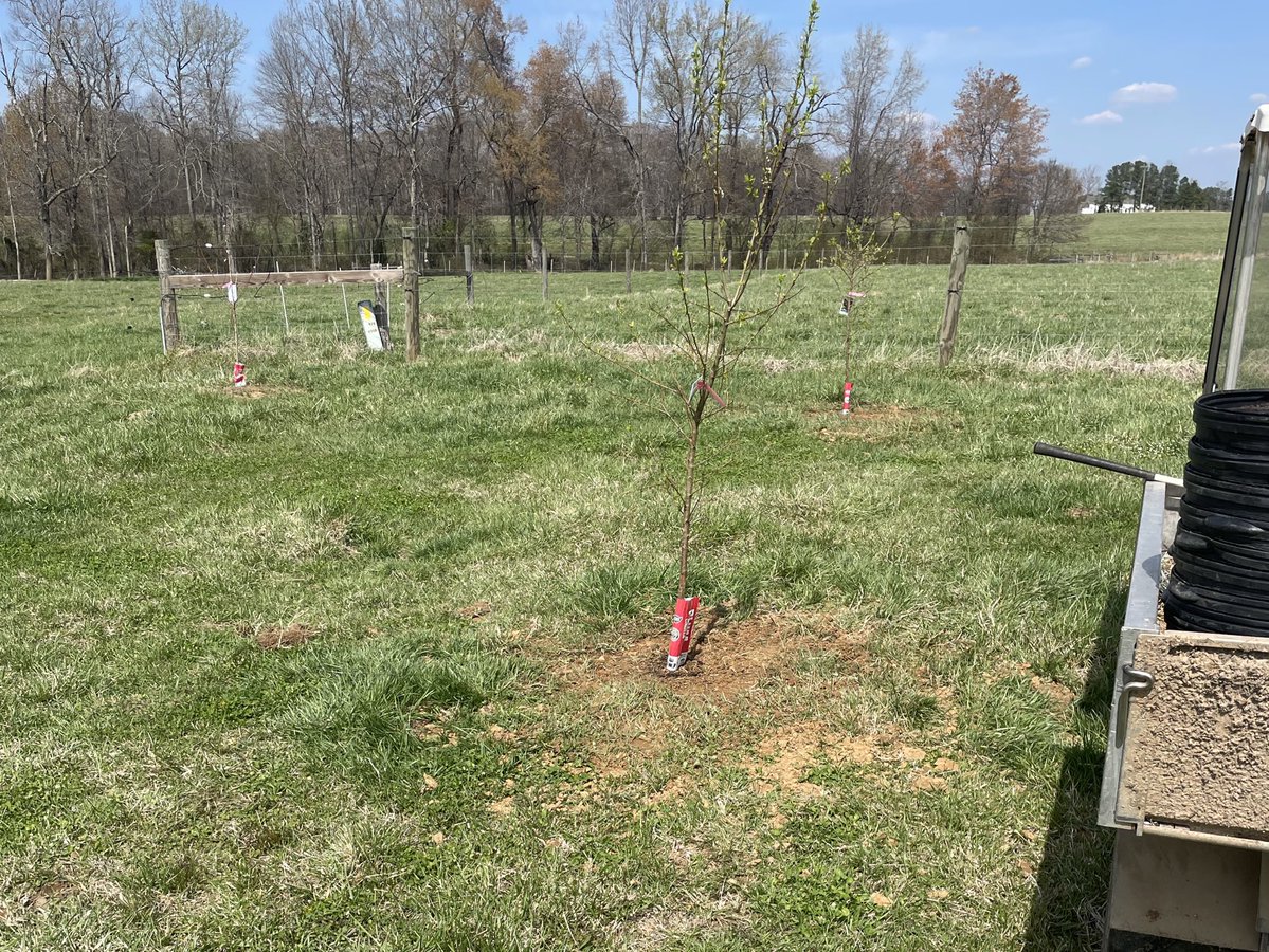 Broba Fett - Soup Enjoyer tweet media