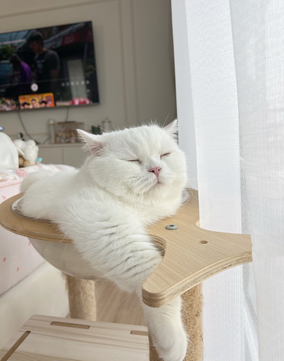 Purely Green tweet media