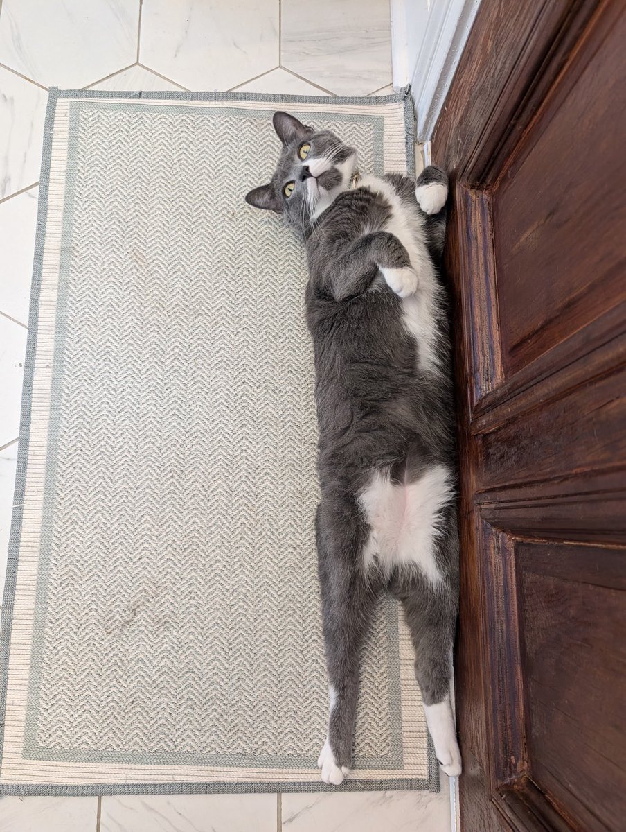 James Reeves tweet media