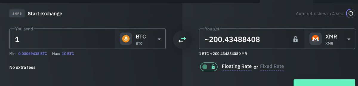 quadriocellata tweet media