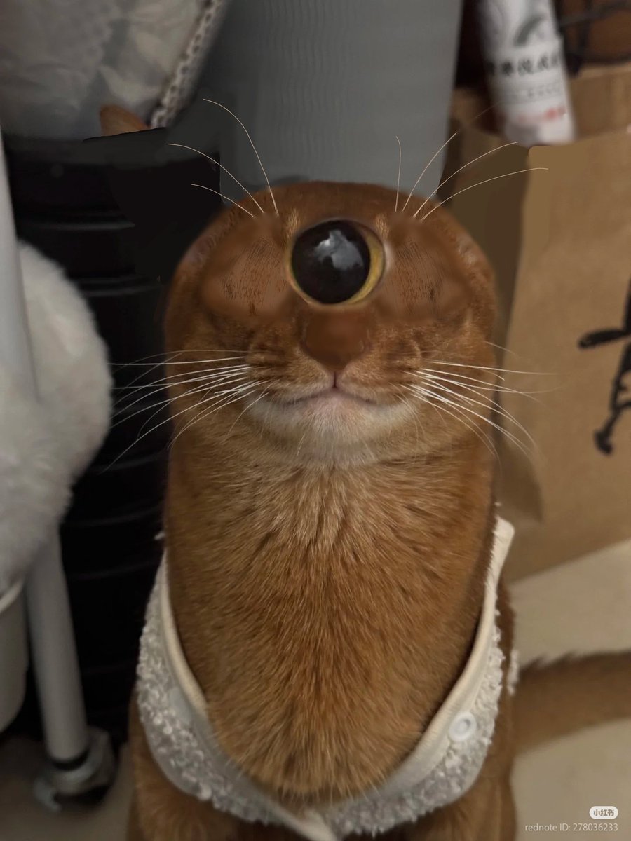 WawaWide 👀 tweet media