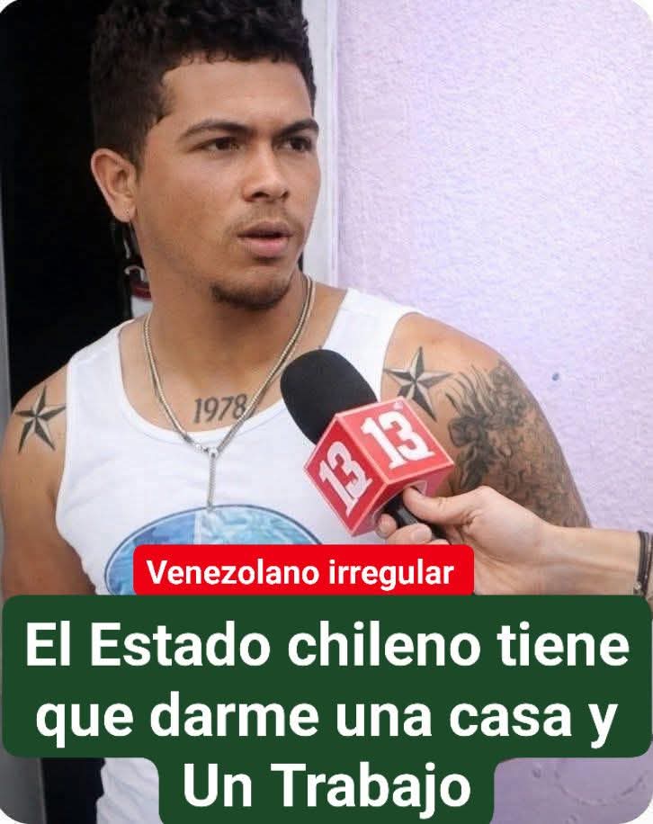 Amalia 🇨🇱🇨🇱 tweet media