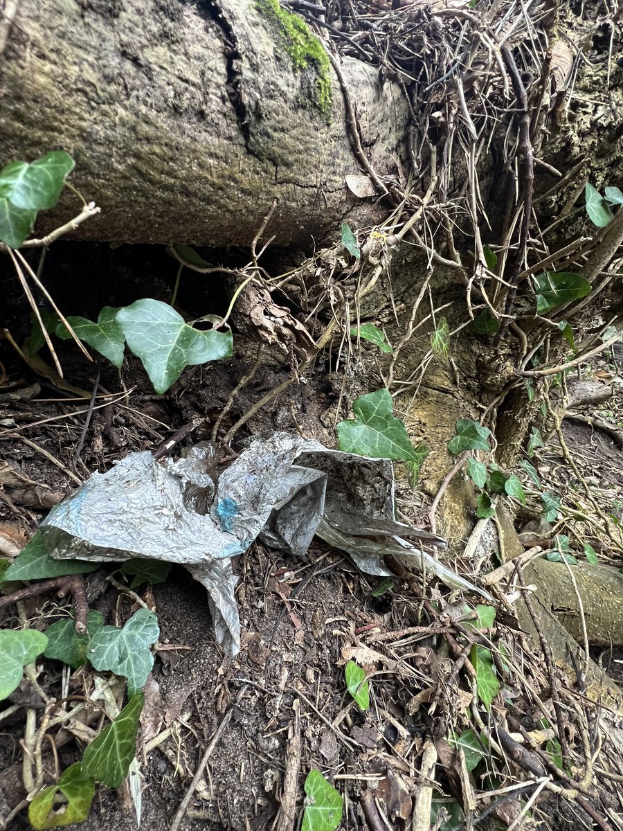 Russell ChalkStreamsInCrisis 🦇🦎🦇🦎 tweet media