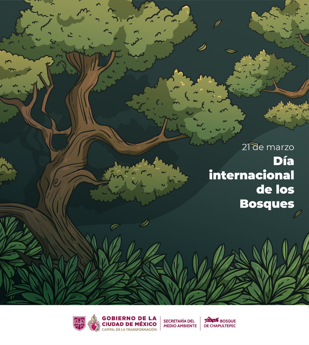 Bosque De Chapultepec tweet media