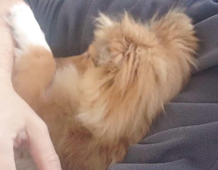 stereovaikutelma tweet media