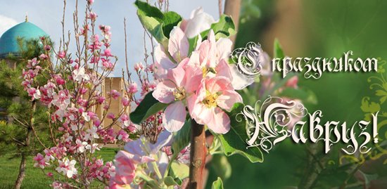 KrylovaLiliana tweet media