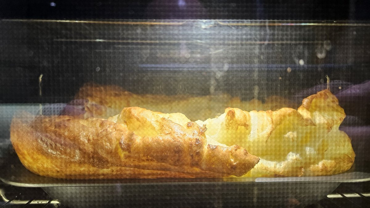 Mark NFFC⭐️⭐️🌳🇧🇷🇧🇷🇧🇷🇧🇷🇧🇷🇧🇷🇧🇷🇦🇷 tweet media