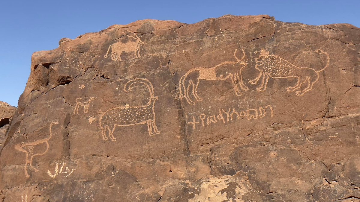 النقوش الثمودية ب tweet media