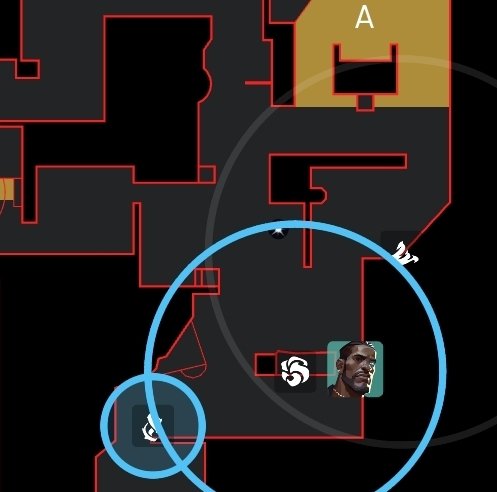 Elevated tweet media