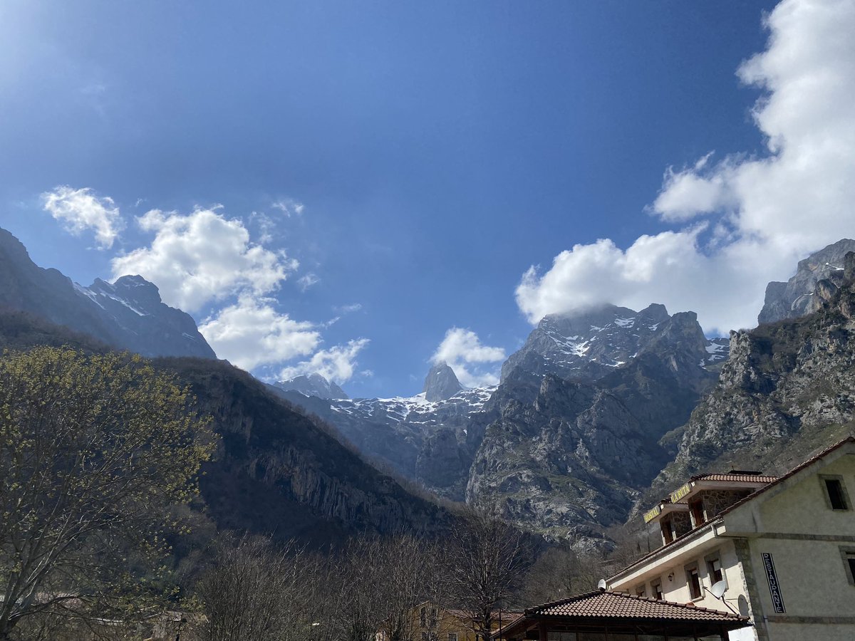 VientoRural tweet media