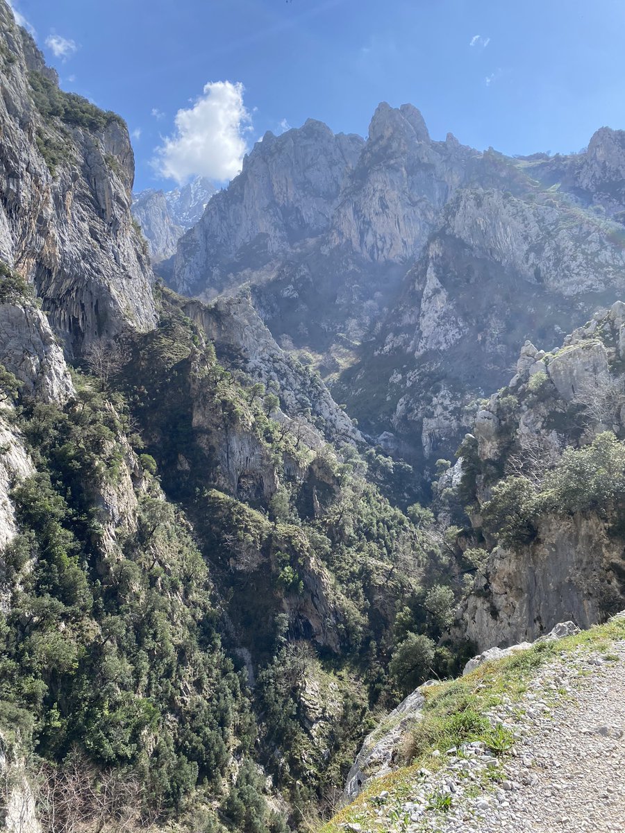 VientoRural tweet media