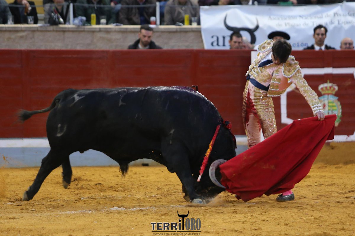 MundilloTaurino's tweet photo. Ovación tras dos avisos para Adrián de Torres en el quinto, un buen toro ovacionado en el arrastre.
@MundilloTaurino @Villasecatoros @MAESTREJc
#villasecadelasagra #cuadri https://t.co/XP0dkHzGq9