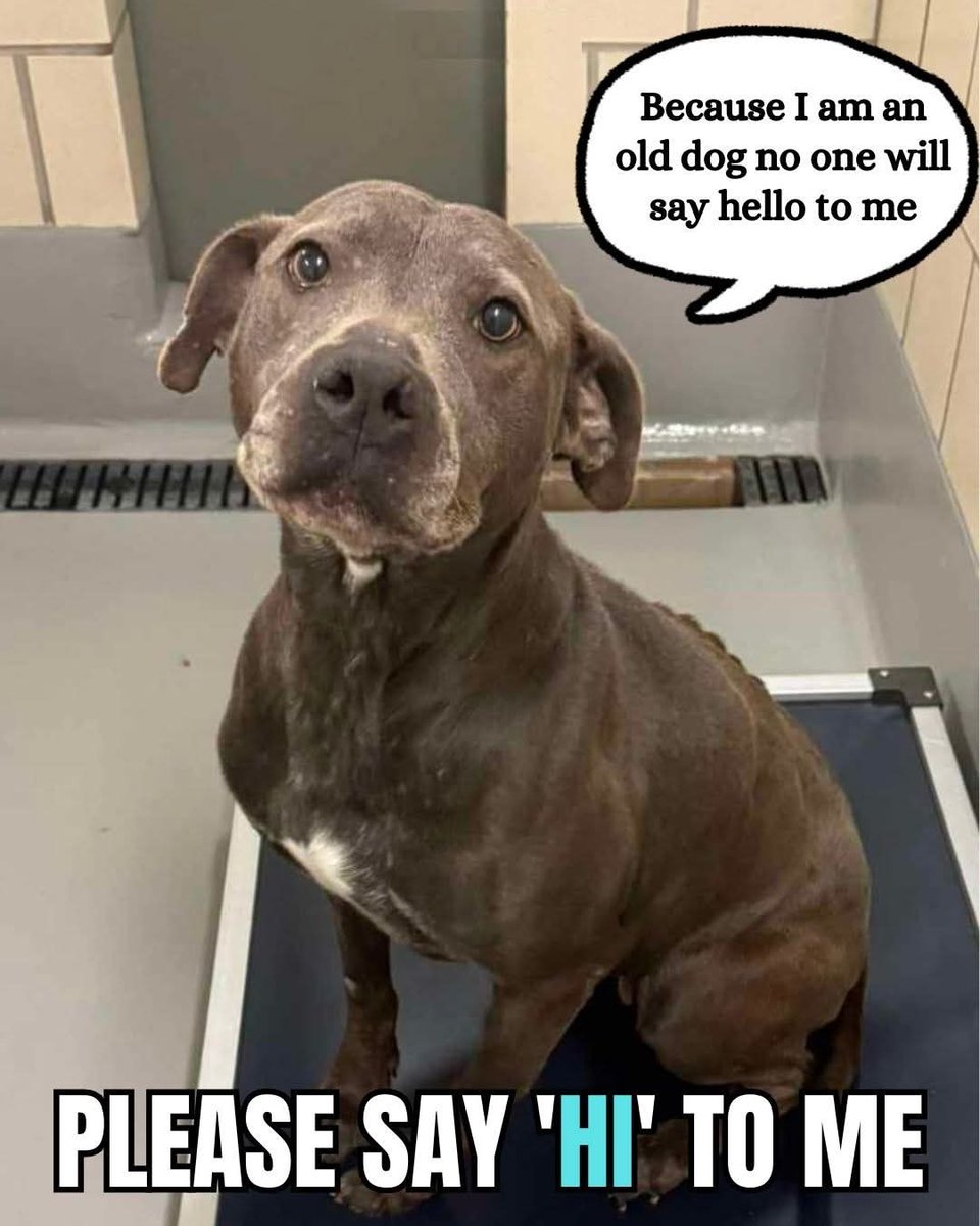 Sara Mary ⭐❤️ tweet media