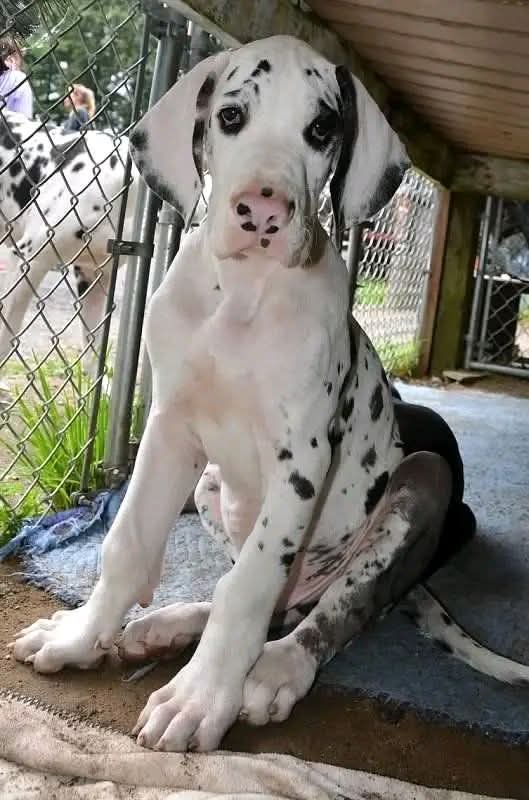 Sara Mary ⭐❤️ tweet media