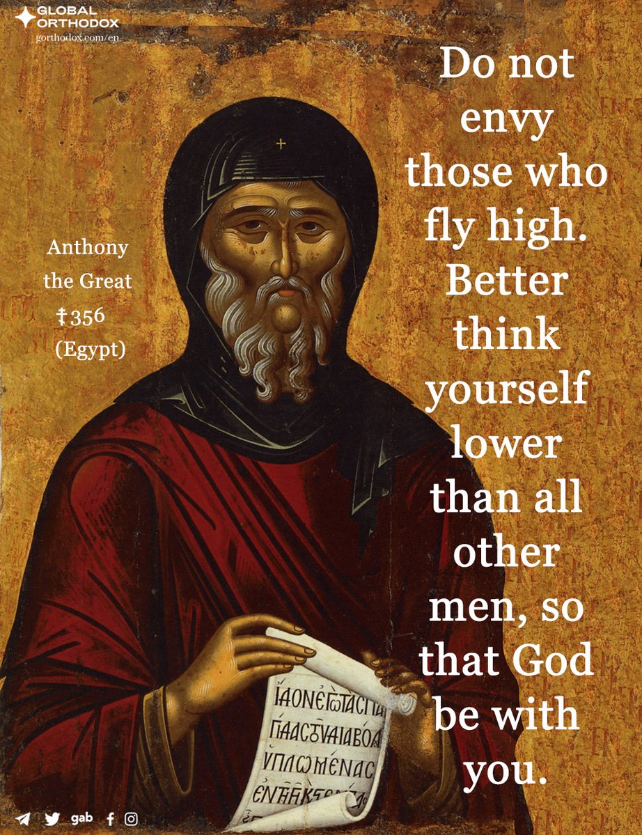 Jonah In Wales 🦊 tweet media