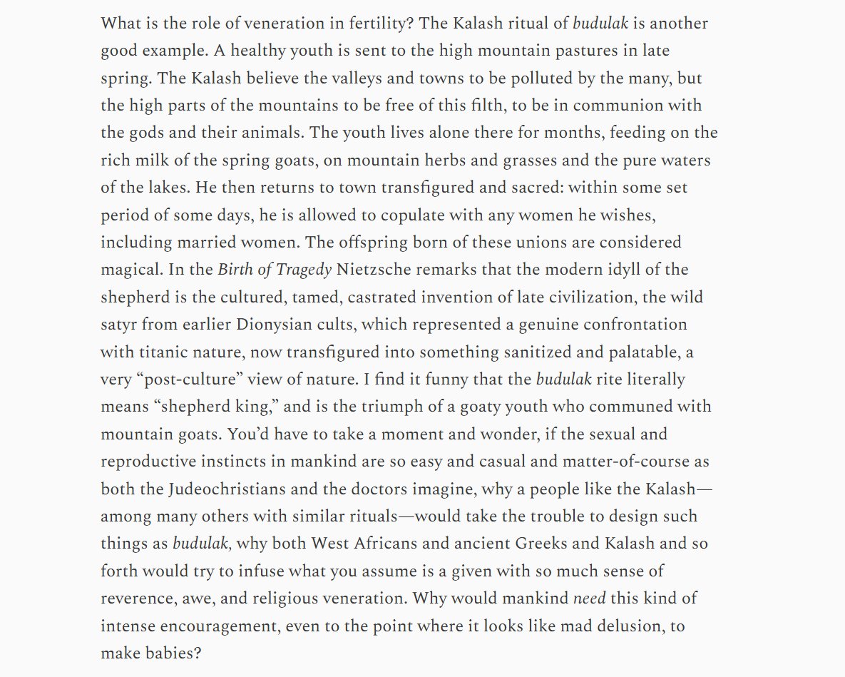 🌲 Mac Finn 🌲 tweet media