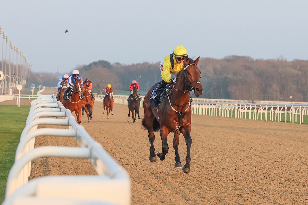 Archie Watson Racing tweet media