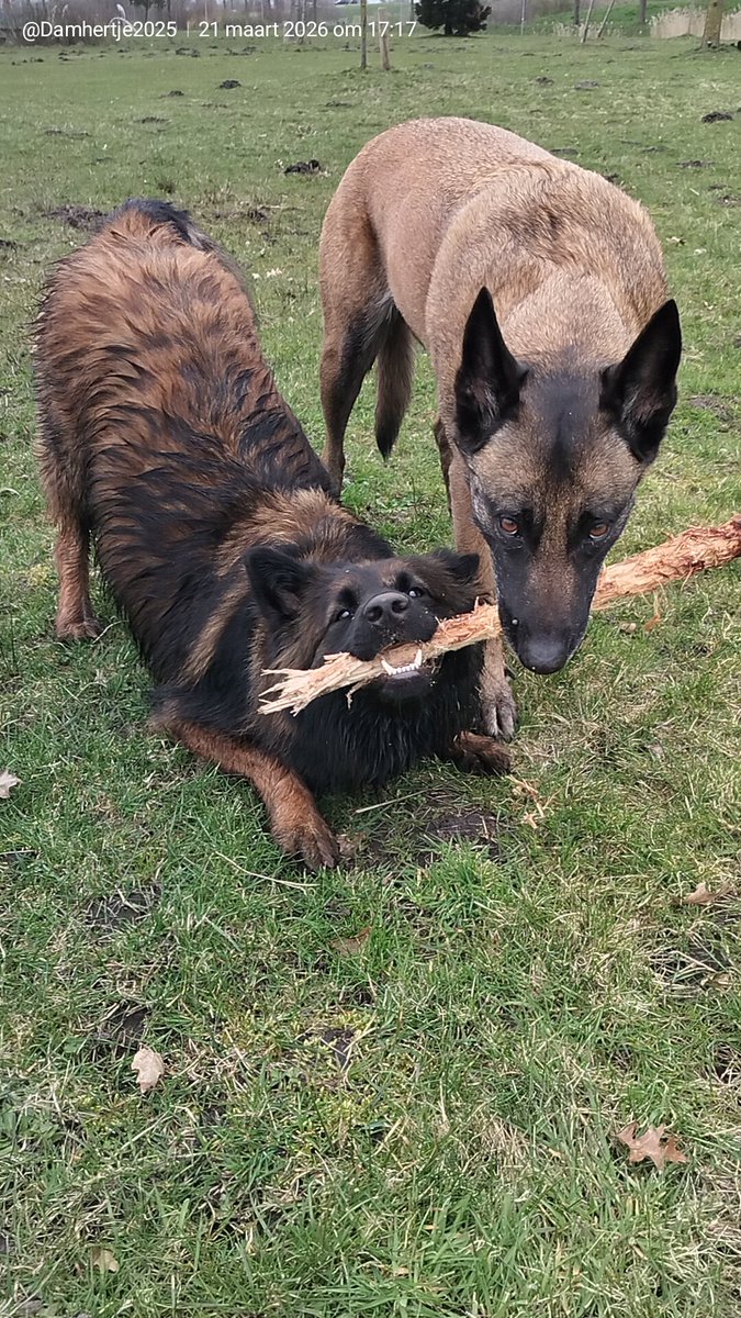 𝘿𝘼𝙈𝙈𝙄𝙀 tweet media