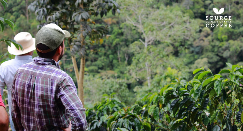 SClimateCoffee's tweet photo. Happy Internatiomal Day of Forests! 🌳🌲🌴🎋Él triunfo is where we source our Mexican coffee. Click on this link for more https://t.co/ILeyTNaryo #onternatiomaldayofforests #agroforestry #organicoffee https://t.co/0aL2hfuKew