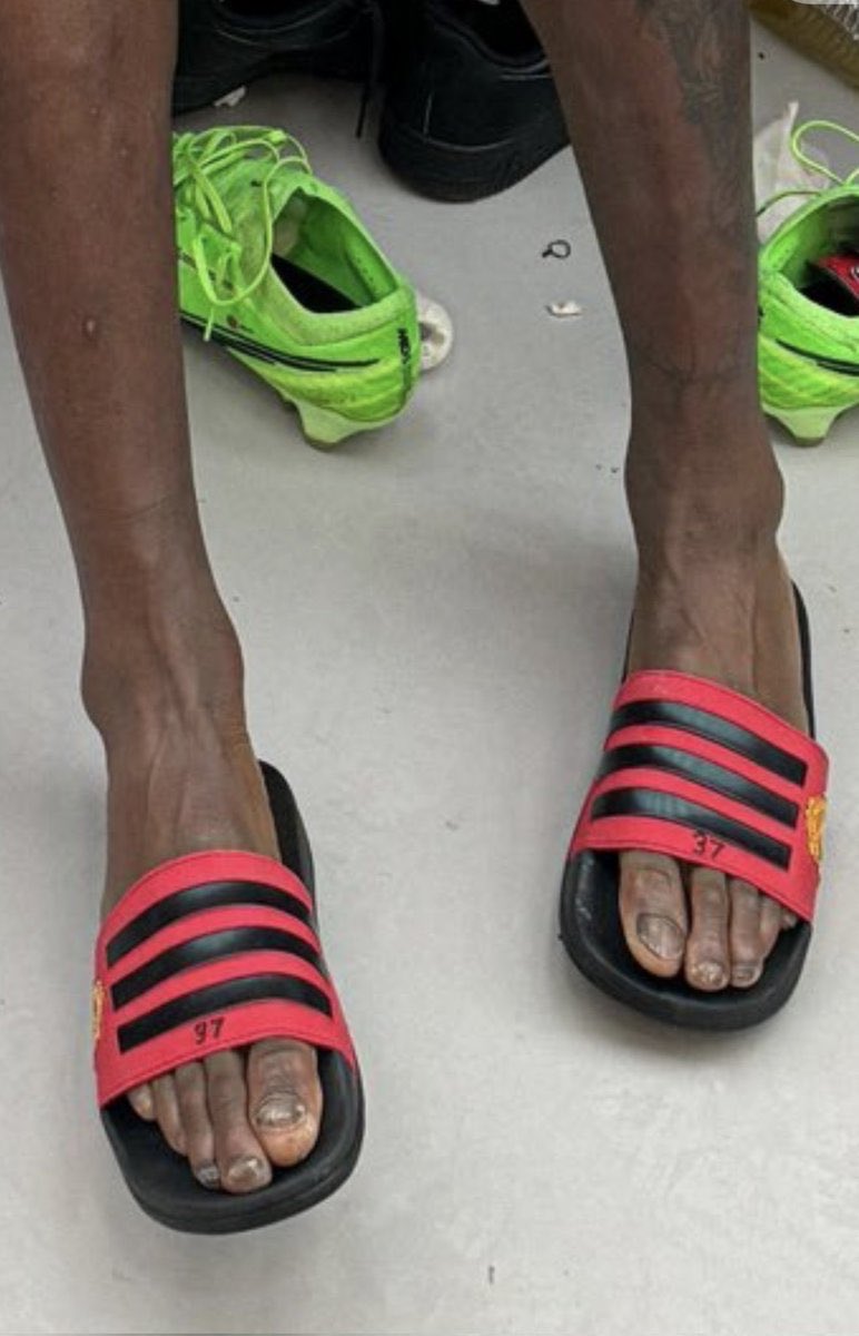 BAMBI 🏄🏽‍♂️ tweet media