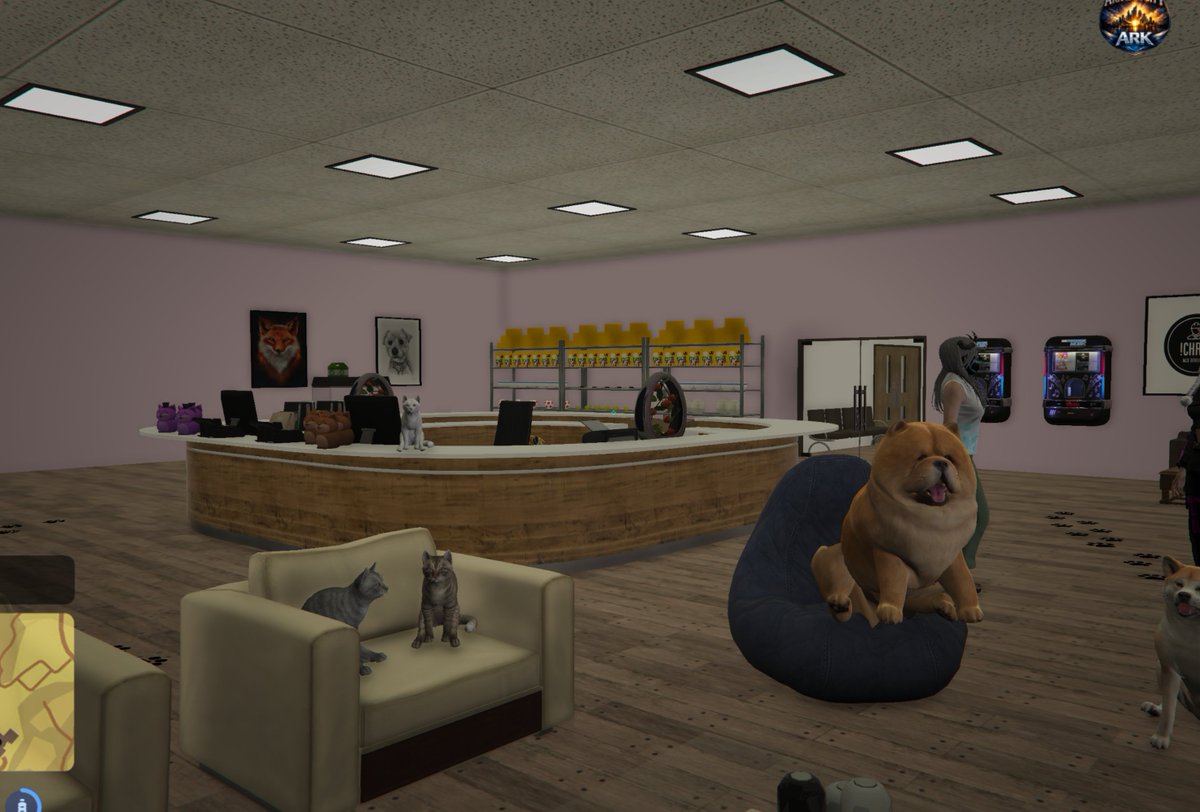 Arkadia City tweet media