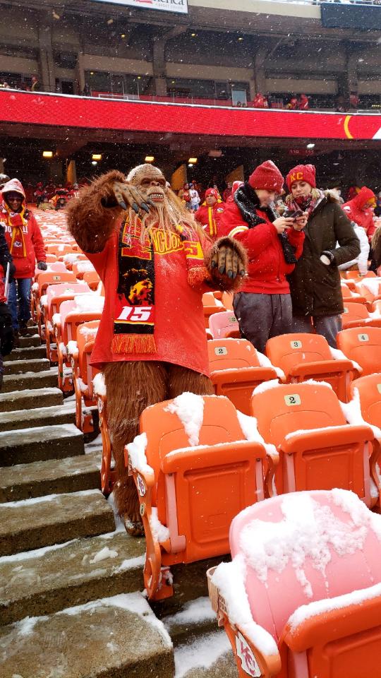 SlabSquatch Sports Cards tweet media