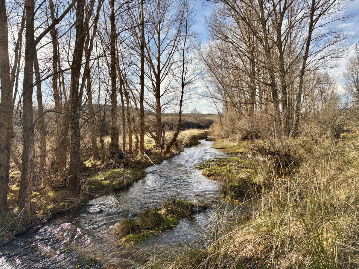 nachoramosc's tweet image. Atardecer en el pueblo. #Guadalajara #Castilla