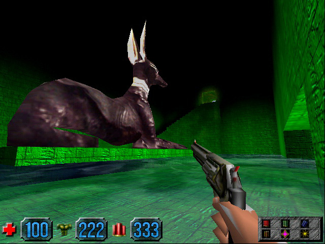 Dr. Hingis tweet media