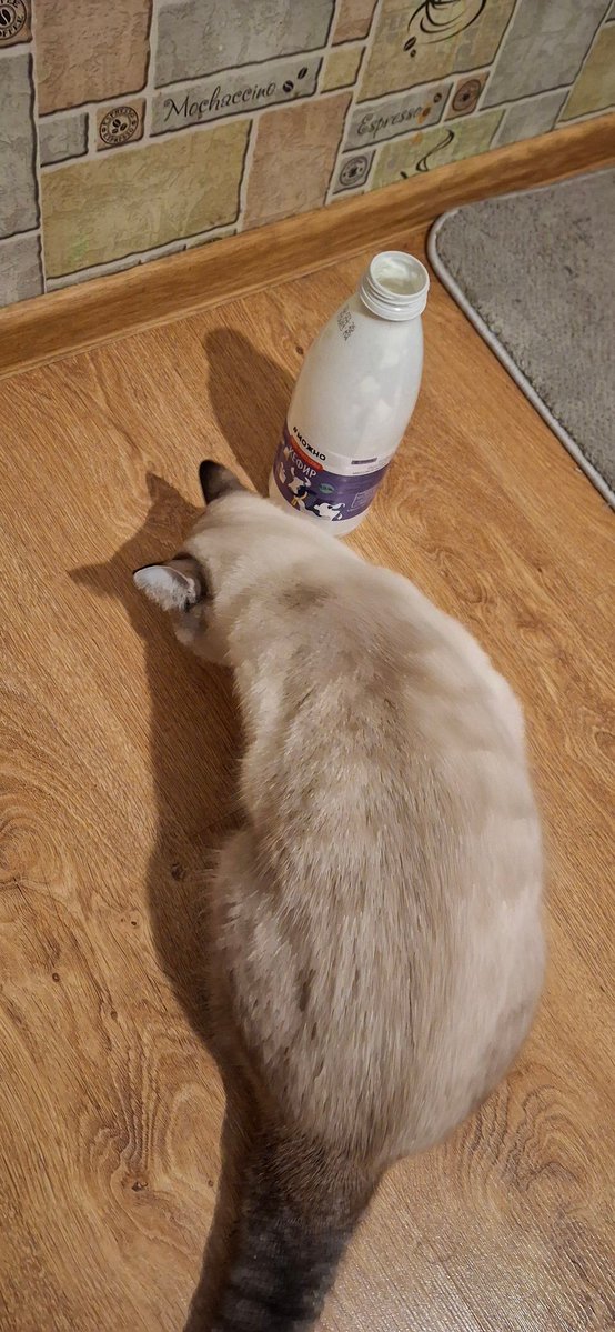 DimSteff 2.0🥃🚬🤬 tweet media