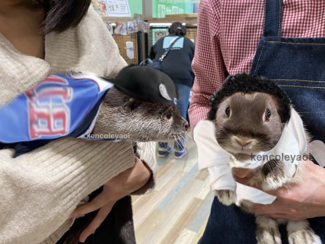 may 🧢🦦 tweet media