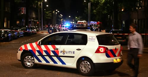 Dolly van den Berg tweet media