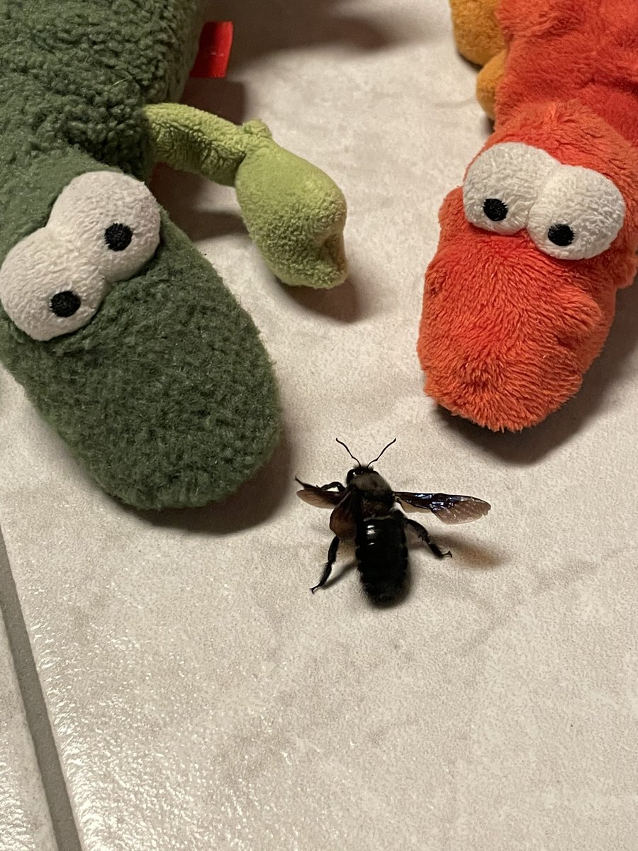 Matthias Klingspohn tweet media