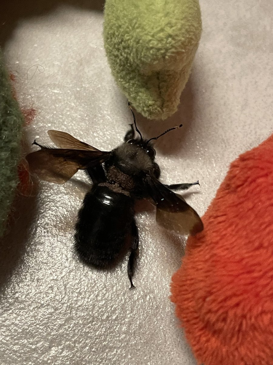 Matthias Klingspohn tweet media