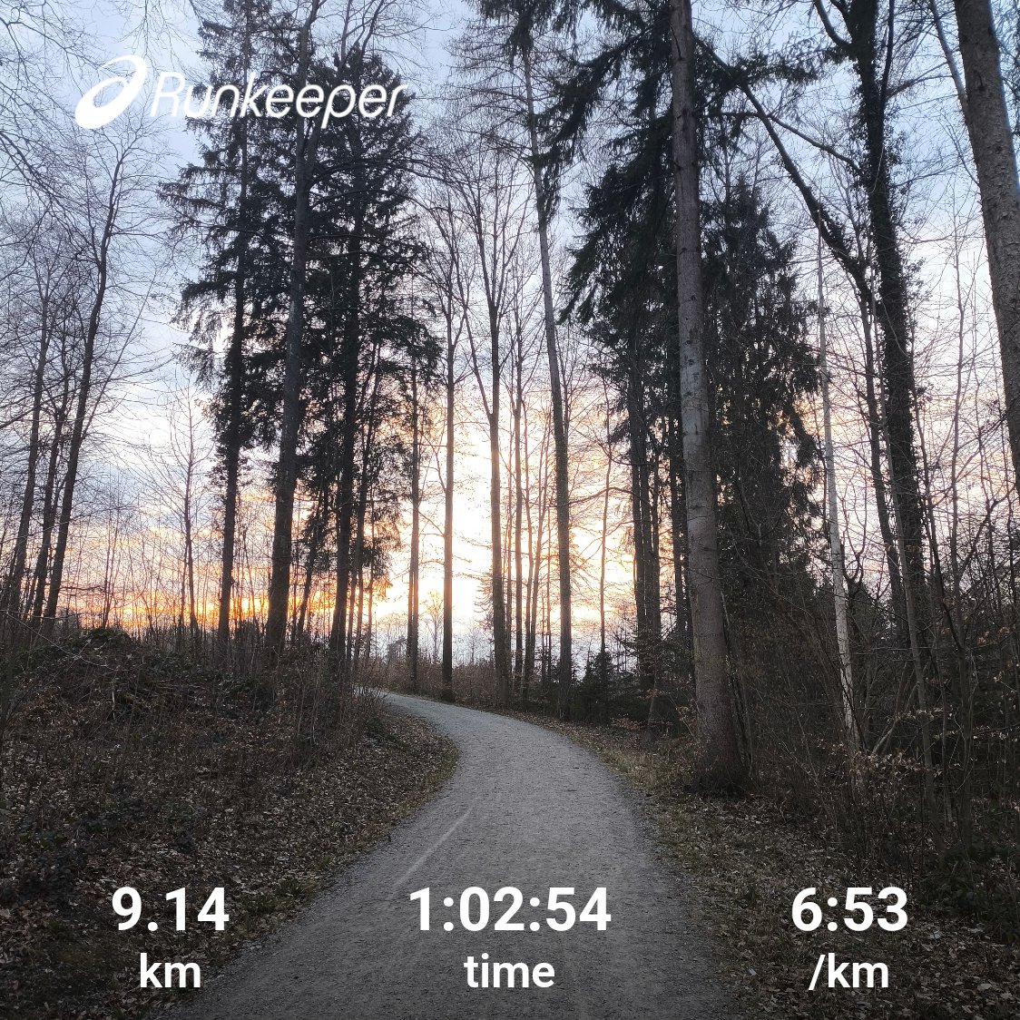 zureich37's tweet photo. evening run in the forest🏃‍➡️🌲.
... wishing everyone a great weekend! 😀
#running #runchat #marathontraining #ForestRun #nature #sunset https://t.co/XlhHugN6Ls