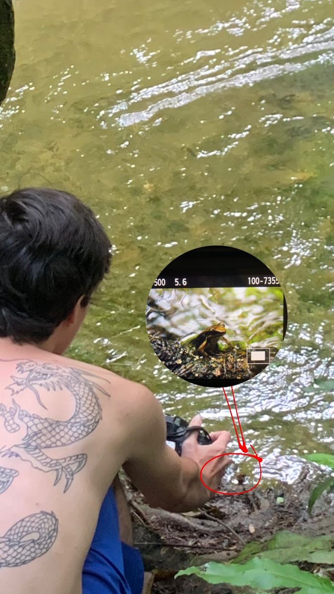 medeixaporonome's tweet image. fluindo essa #waterfall pós dia de chuva em busca de rãs, insetos e plantinhas