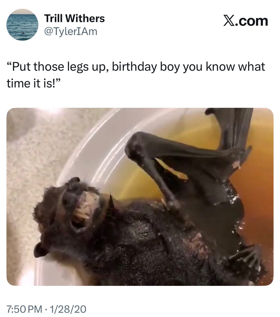 SeahawkFemme tweet media