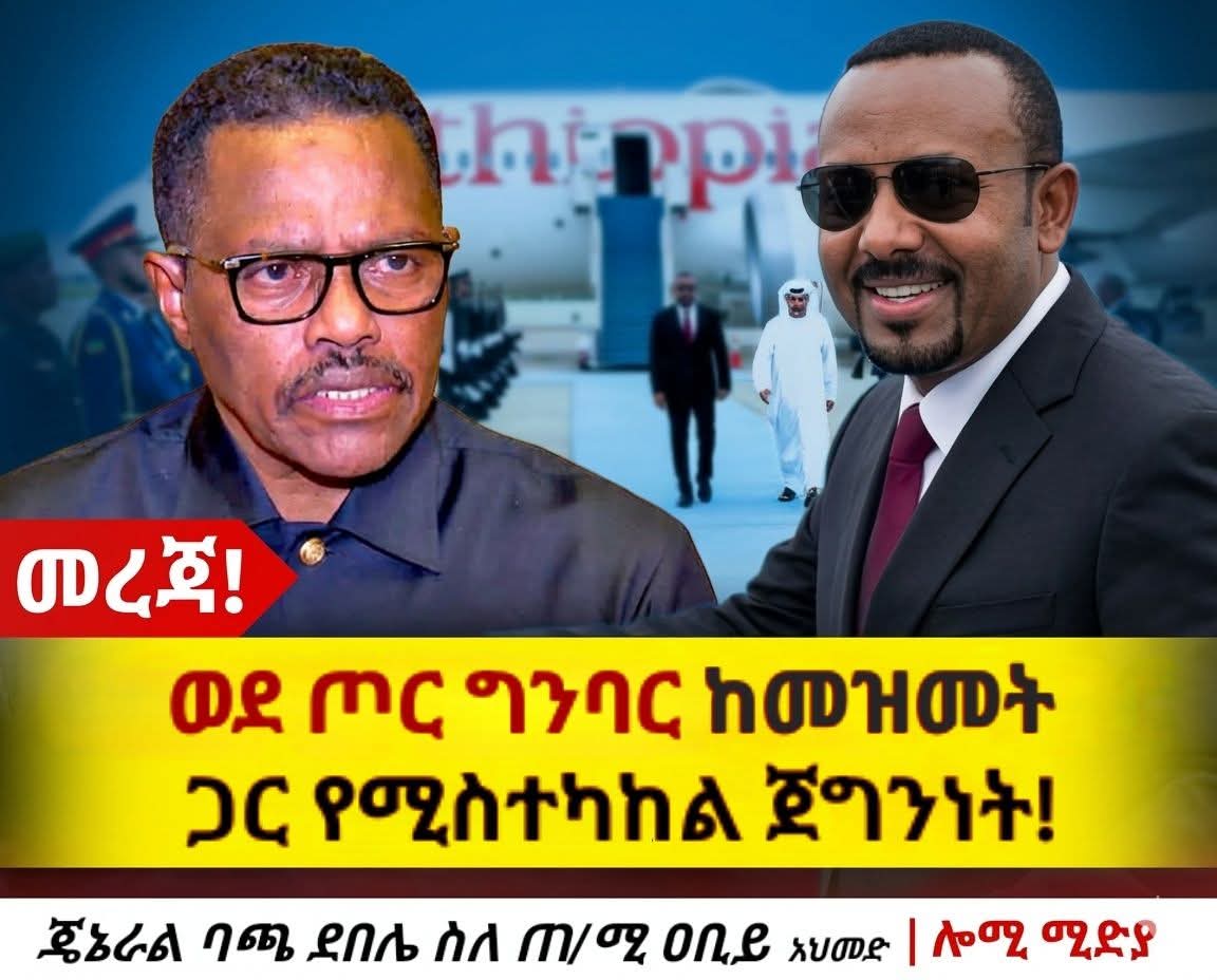 Nebelet Press Gezana tweet media