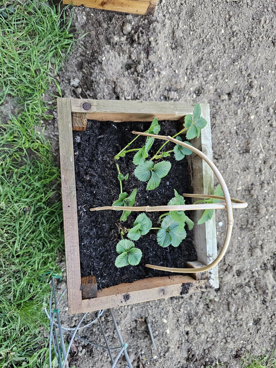 Keith McAdam 🏴󠁧󠁢󠁳󠁣󠁴󠁿 tweet media