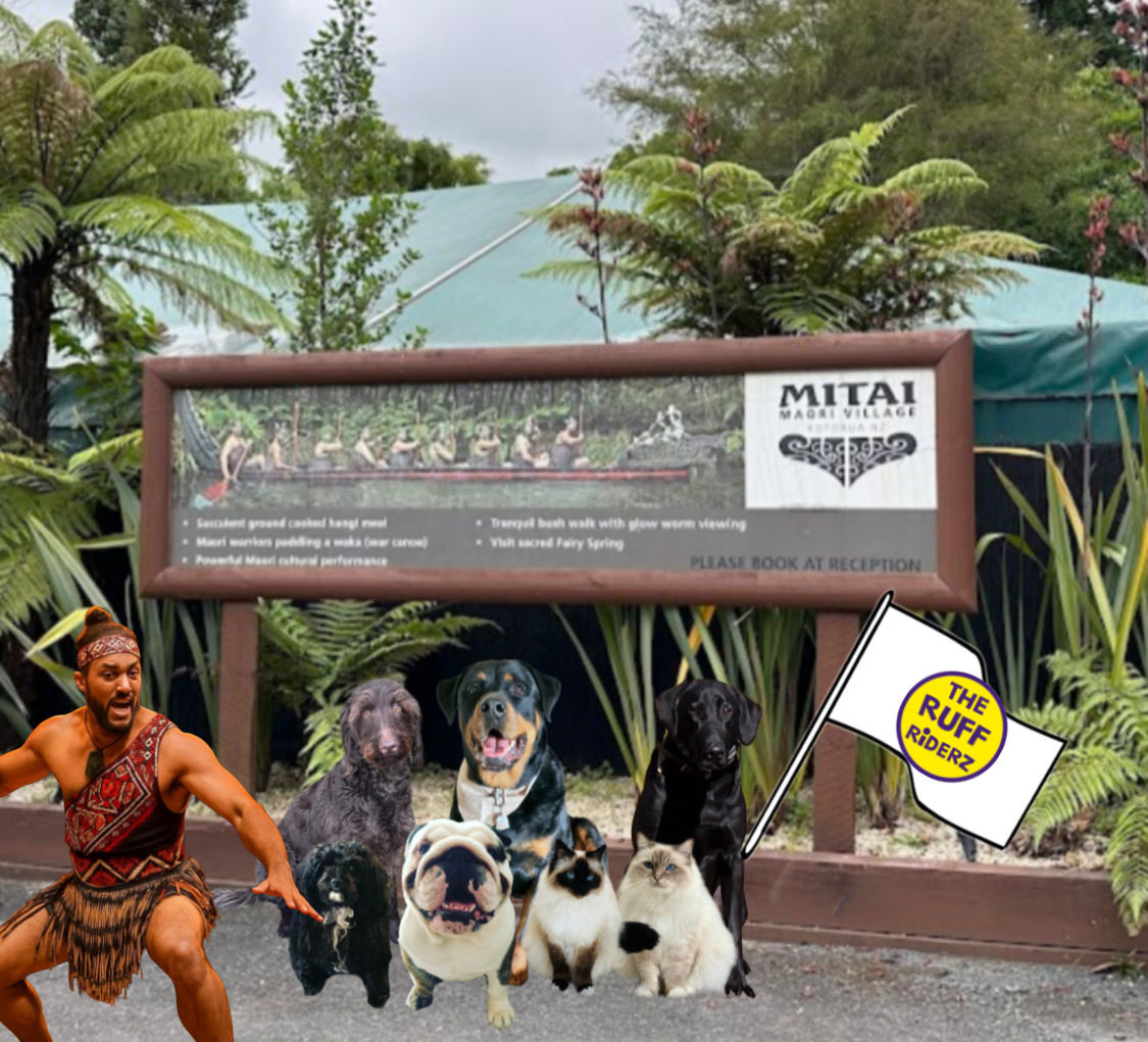 Wilbur the Wonder & Ernie the Explorer tweet media