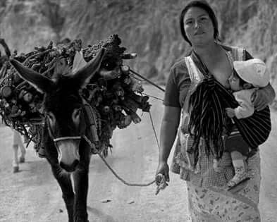 claudio borlotto tweet media