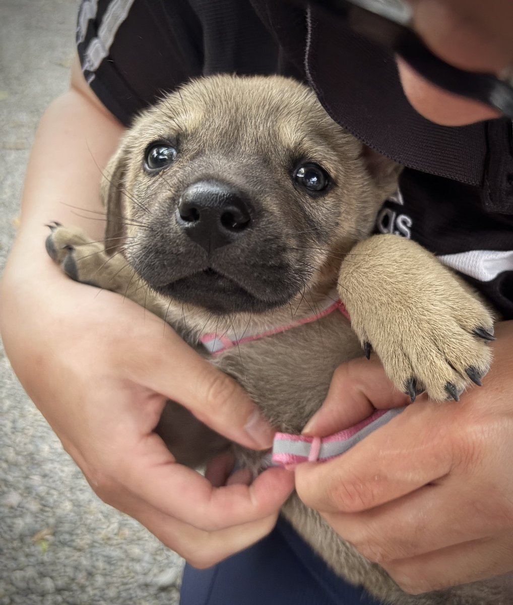 黑貓老師 tweet media