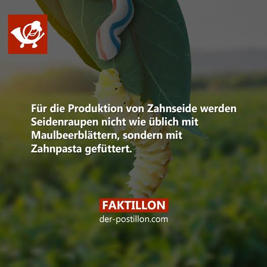 HonestLazyBum tweet media