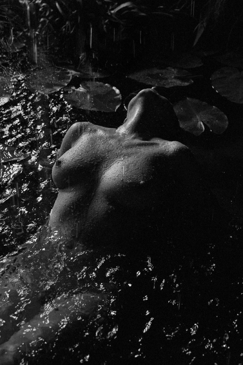 Argent Echo tweet media