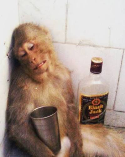 Shivaay ~ शिवाय tweet media