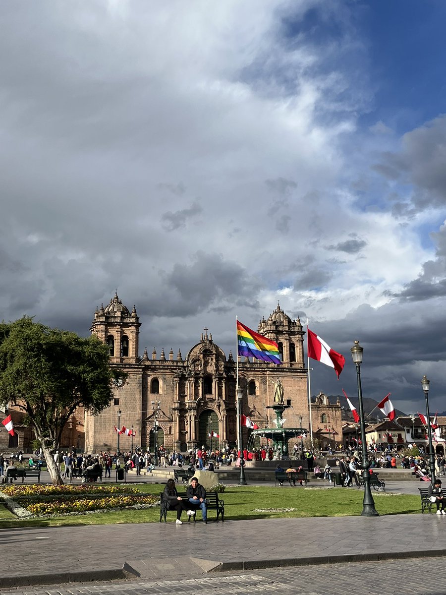 Hippo🦇🦛 tweet media