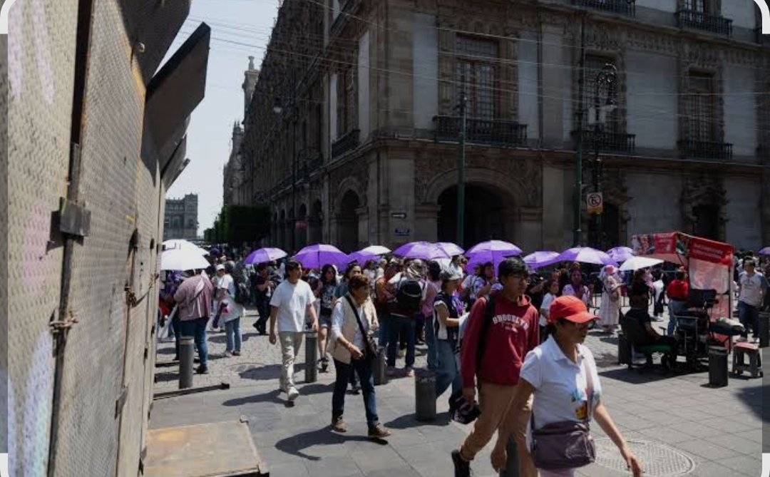 Alfonso Lucadi tweet media