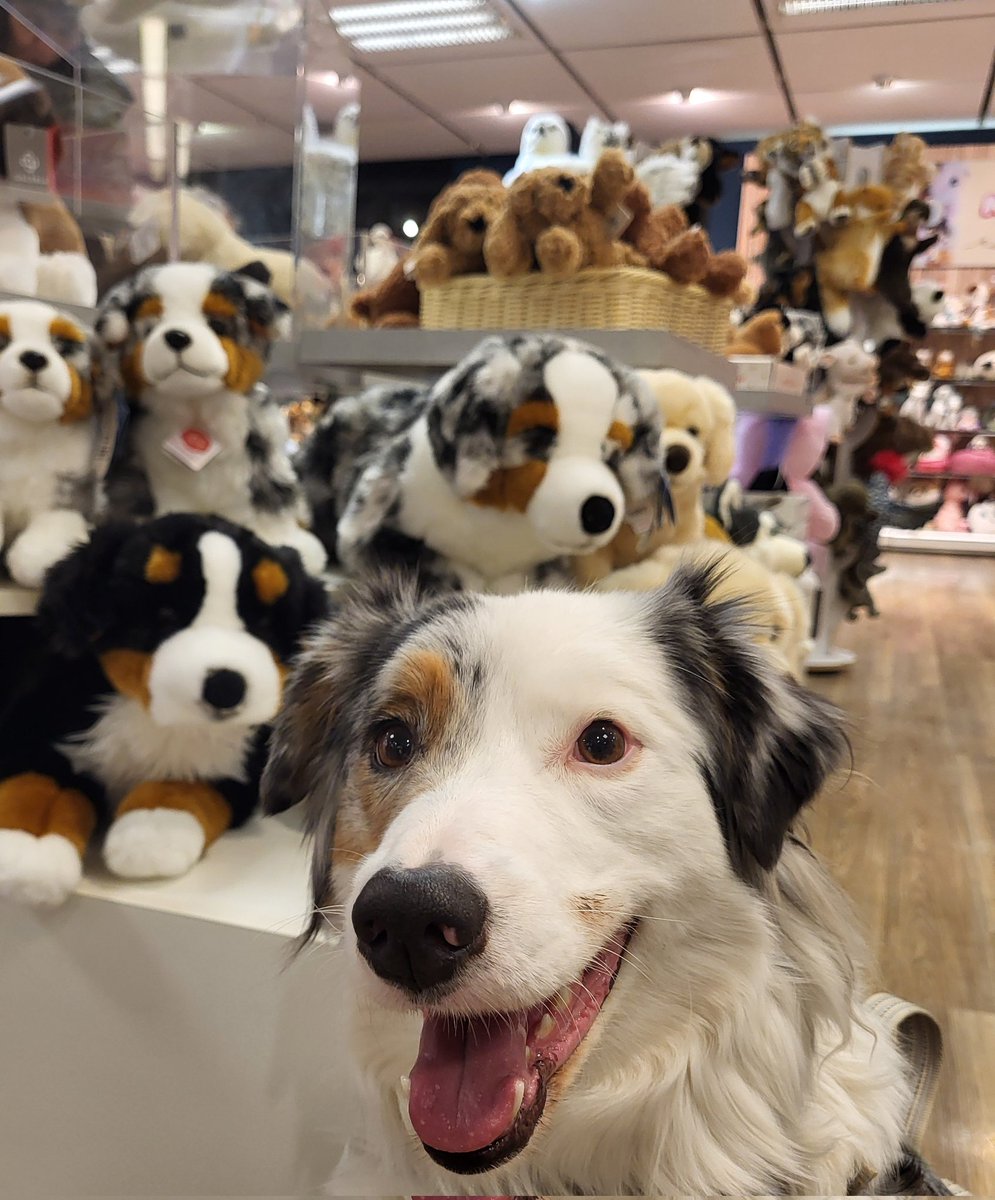 VidaGlitzerflausch  tweet media