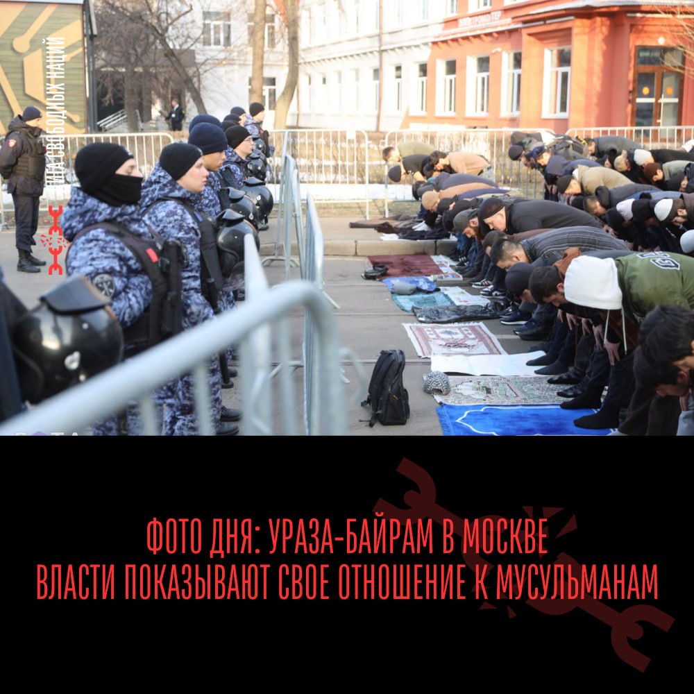 Free Nations League tweet media