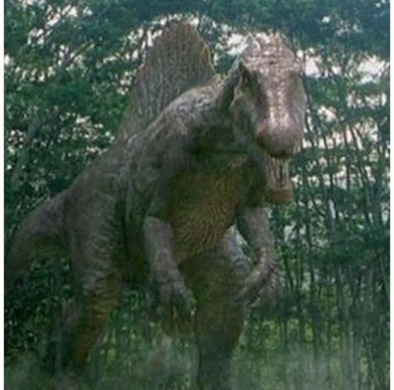 James Ryan Petrovicz tweet media